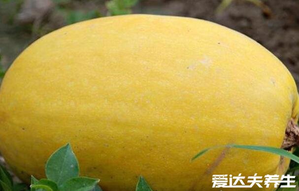 虾和7种食物不能一起吃,和猪肉/鸡肉同食会损精(严重肾衰竭)
