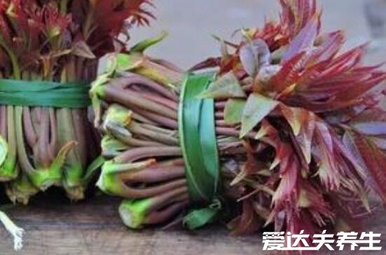 香椿的功效与作用及禁忌,可美容养颜/清热解毒但有旧疾则慎用