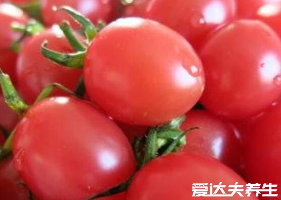 小柿子叫什么名字及其功效与作用禁忌,为圣女果/美容瘦身(图片)