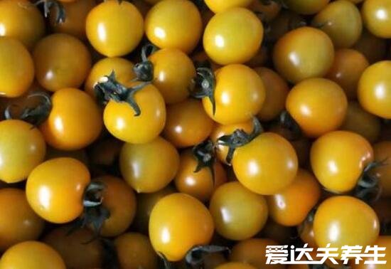 小柿子叫什么名字及其功效与作用禁忌,为圣女果/美容瘦身(图片)
