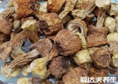 松茸菌的功效与作用及食用方法，用来蒸蛋