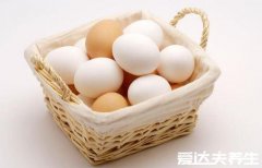 兔肉不能和什么一起吃，鸡蛋/胡萝卜/橘子