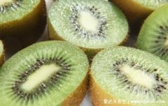 胃不好就别吃三种水果,猕猴桃/山楂/冬枣会