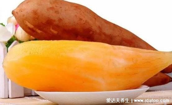 雪莲果的功效与禁忌吃法,调整肠胃/增强免疫/降三高(5大禁忌)
