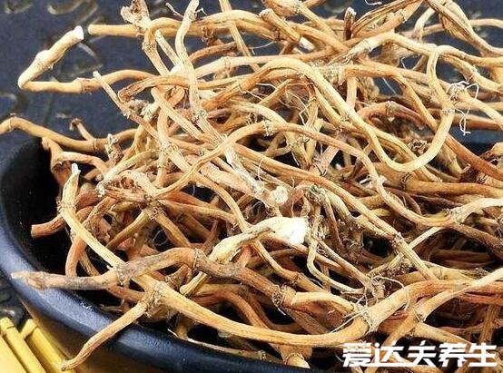 鱼腥草图片及功效与作用禁忌,又名折耳根可消炎杀菌/清热解毒