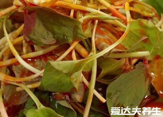 鱼腥草图片及功效与作用禁忌,又名折耳根可消炎杀菌/清热解毒