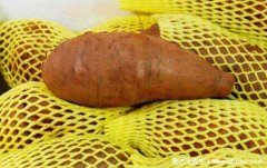 雪莲果的功效与禁忌吃法，调整肠胃/增强免