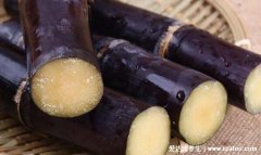 咽炎最怕的三种水果,甘蔗/枇杷/梨(治疗咽