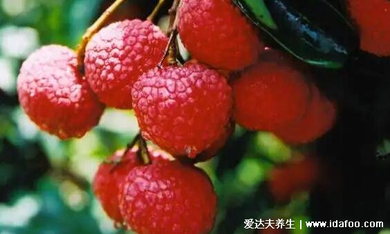 大暑为什么要吃荔枝,是大暑习俗之一/此时荔枝成熟度高