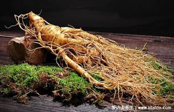 东北三宝是指什么有什么功效,人参/貂皮/鹿茸产量少价格极为昂贵