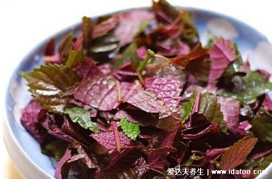 紫苏的功效与作用禁忌和食用方法，用来煎蛋/发汗解表/理气宽中