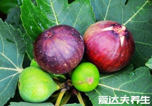 5种人不能吃无花果,糖尿病患者最不能吃无花果