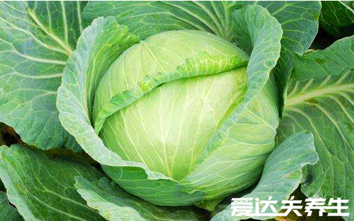 5种幽门螺杆菌最怕的食物,经常吃人人远离胃病