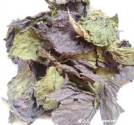 紫苏叶的吃法有哪些，可泡茶/凉拌/涮火锅