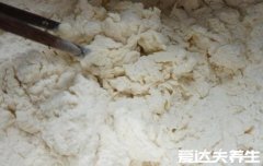 500克面粉放多少酵母一斤呢，一百比一换算