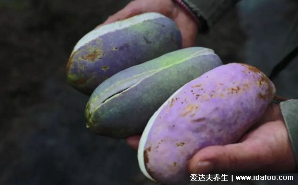 八月瓜怎么吃,教你轻松学会5种八月瓜的吃法(籽能吃)