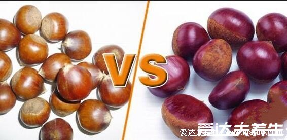 板栗怎么煮好吃又简单,美味糖炒板栗自己也能做(附视频做法)