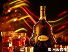 白兰地是什么酒怎么喝，是水果发酵的高酒