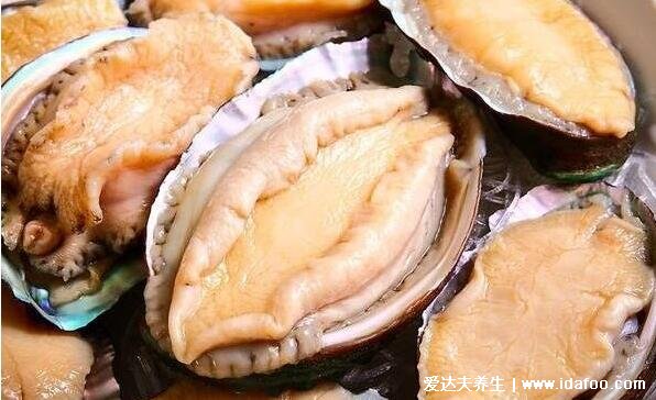 鲍鱼的功效与作用及营养禁忌,高蛋白低脂肪有5大好处4大禁忌