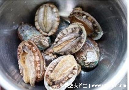 鲍鱼怎么保存最新鲜,盆子里加水要放盐(淡水中以免死亡)