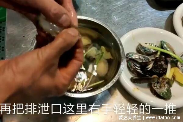 鲍鱼怎么杀和清洗,黑膜和内脏一定要处理干净(视频图解)