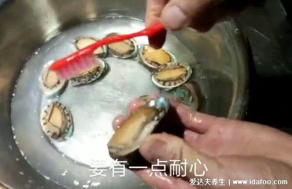 鲍鱼怎么杀和清洗,黑膜和内脏一定要处理干净(视频图解)