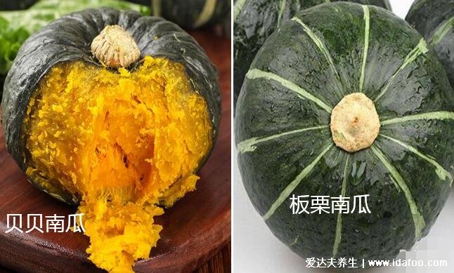 贝贝小南瓜和板栗南瓜哪个贵哪个好吃,有什么区别(贝贝更贵)