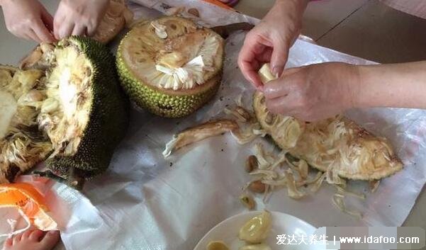 菠萝蜜的胶粘在手上怎么洗掉,3个小窍门用盐水食用油清洗非常干净