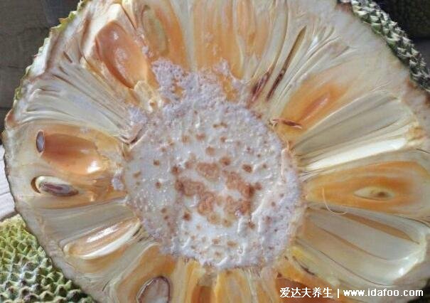 菠萝蜜的胶粘在手上怎么洗掉,3个小窍门用盐水食用油清洗非常干净