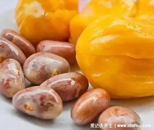 菠萝蜜核的功效与作用,分泌乳汁还可增强体质等4大功效(建议煮熟吃)