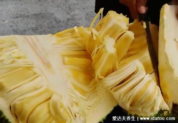 菠萝蜜怎么剥皮小窍门,简单3步快速剥皮有视频(附粘手洗掉的方法)