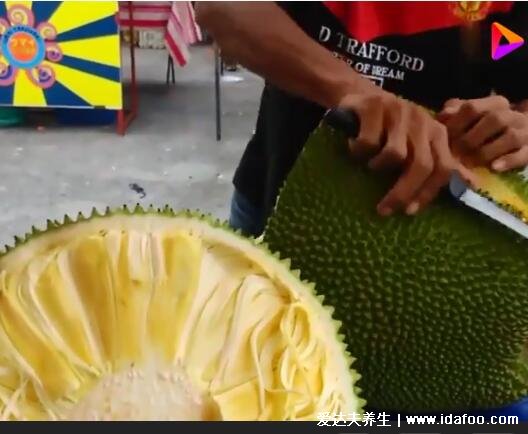 菠萝蜜怎么剥皮小窍门,简单3步快速剥皮有视频(附粘手洗掉的方法)