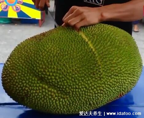 菠萝蜜怎么剥皮小窍门,简单3步快速剥皮有视频(附粘手洗掉的方法)