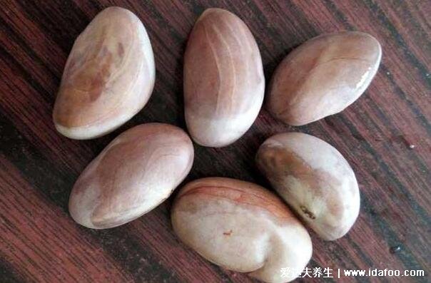 菠萝蜜怎么吃,菠萝蜜的三大吃法(菠萝蜜核也可以吃)