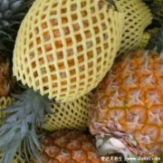 菠萝和凤梨是同一种水果吗，是同一种水果