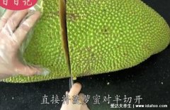 菠萝蜜怎么剥皮小窍门视频图解,简单不沾