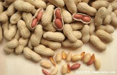 不能吃花生的三类人,高达50%的脂肪减肥的