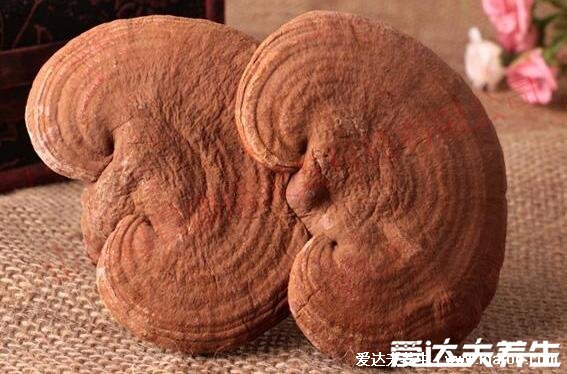 常吃5种降血脂水果，水果之王猕猴桃有助降胆固醇(血脂包含胆固醇)