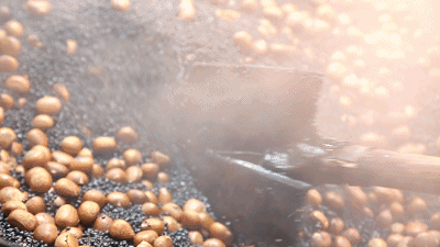 炒栗子为什么要放石子,不放石子可能壳炭化着火果实没熟(3点原因)