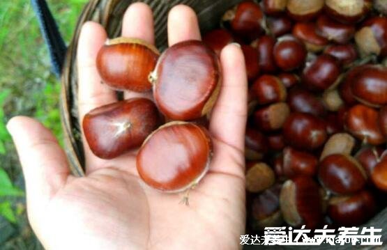 炒栗子为什么要放石子,不放石子可能壳炭化着火果实没熟(3点原因)