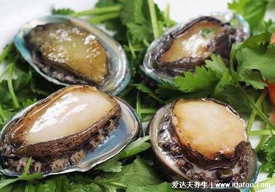 吃鲍鱼的功效及禁忌作用,不仅能延缓衰老还能促进生长发育