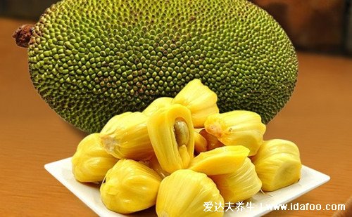吃菠萝蜜的7大禁忌,一天不要超过500克(脾胃湿热者慎食)