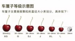 车厘子多少钱一斤，车厘子价格主要为30-1