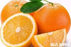 橙子是热性还是凉性，凉性水果适量吃可以