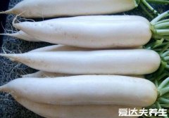 吃什么排黑色素最强，车厘子能排能抑制双