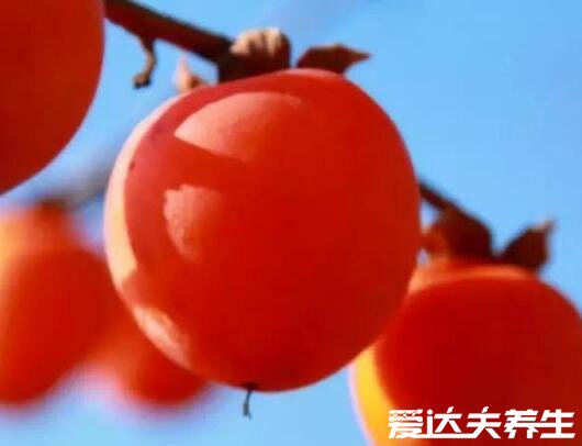 吃柿子的好处和功效,不仅美容养颜还能健脾开胃(秋季养生佳品)