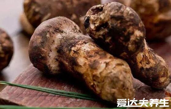 吃松茸的禁忌,和高钙食品同食用会导致尿路结石