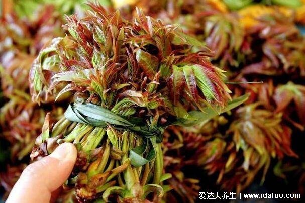 吃香椿的禁忌和注意事项，四类人不能吃会加重病情