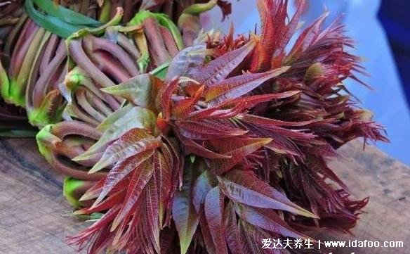 吃香椿的禁忌和注意事项，四类人不能吃会加重病情