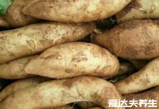 吃雪莲果的禁忌,特别要注意体虚胃寒低血压患者不能食用